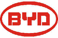 Коврики в салон BYD