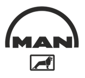 Коврики в салон MAN