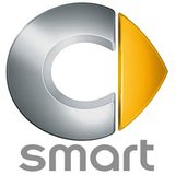 Коврики в салон Smart
